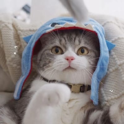 Tobi Ferrero avatar